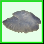 lutgri_145_b_002