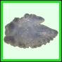 lutgri_146_b_001