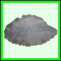 lutgri_147_a_003
