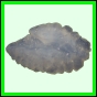 lutgri_147_b_002