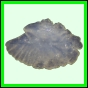 lutgri_149_a_002