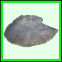 lutgri_150_a_002