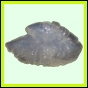 lutgri_150_b_001