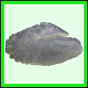 lutgri_1709_b_001
