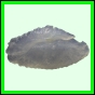 lutgri_1712_a_002
