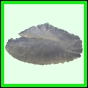 lutgri_1712_b_001