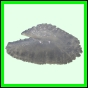 lutgri_1716_a_001