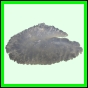 lutgri_1716_b_004