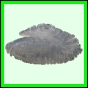 lutgri_1718_b_002