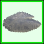 lutgri_1722_b_002