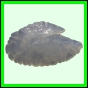 lutgri_1754_a_001