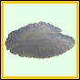 lutgri_2023_b_001