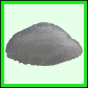 lutgri_2024_b_001
