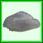lutgri_2025_a_001