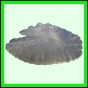lutgri_2048_a_002
