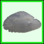 lutgri_2049_b_001