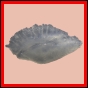 lutgri_2051_b_001