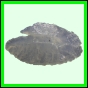 lutgri_2055_a_001