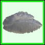 lutgri_2058_a_001
