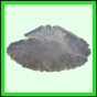 lutgri_2062_a_001